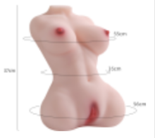 Fit Torso Doll
